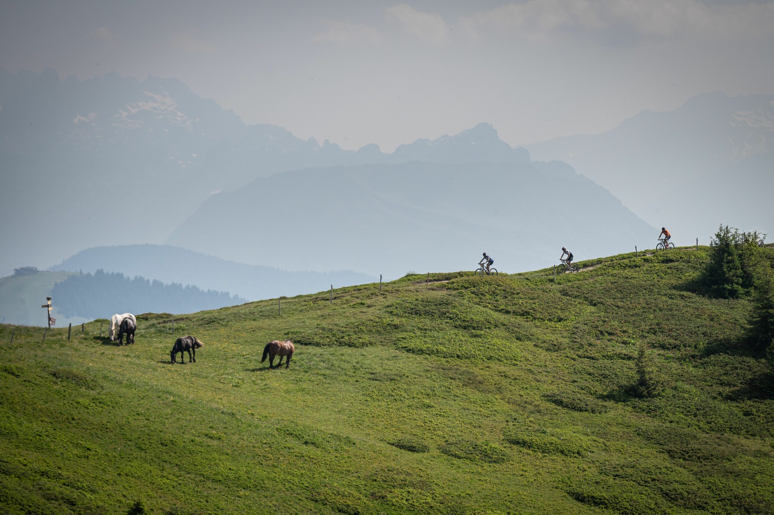 Paysages Saisies Bike Festival